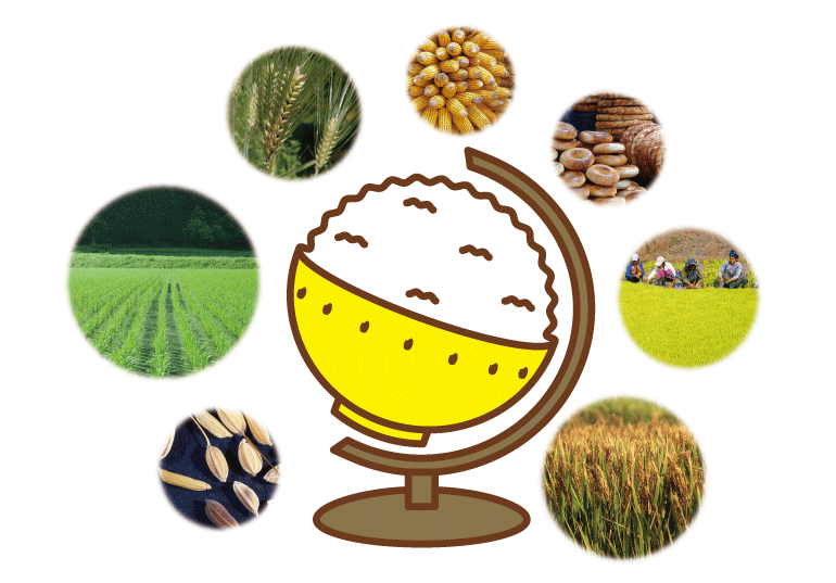 �C���[�W�摜