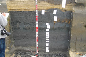 ���̒r���E���������