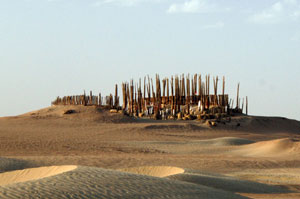 ���͕���(�����E�V���E�C�O��������)