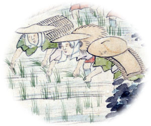 �u�l�G�k��}�����v���]�ˎ���̓c���<br>
      �i�l���A�����񋟁F�V���������j�����فj