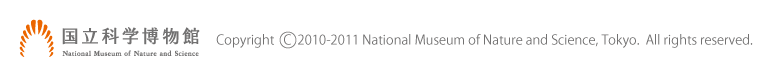 �����Ȋw������ Copyright 2010-2011 National Museum of Nature and Science, Tokyo.  All rights reserved.