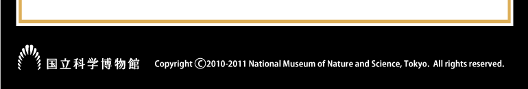 �����Ȋw�����ف@Copyright 2010-2011 National Museum of Nature and Science, Tokyo.  All rights reserved.
