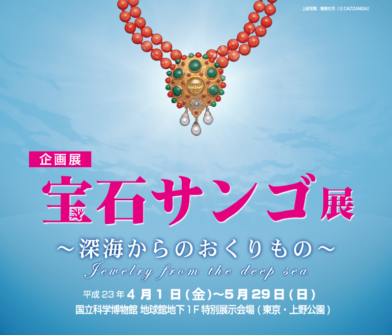 ���W�u��΃T���S�W�v�`�[�C����̂�������́` Jewelry from the deep sea ����23�N4��1��(��)����5��29���i���j�����Ȋw�����ف@�n���ْn��1�K���ʓW�����i�����E�������j