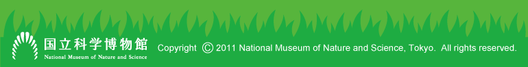 �����Ȋw�����ف@Copyright 2011 National Museum of Nature and Science, Tokyo.  All rights reserved.