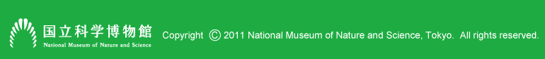 �����Ȋw�����ف@Copyright 2011 National Museum of Nature and Science, Tokyo.  All rights reserved.