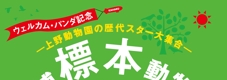 �E�F���J���E�p���_�L�O�@kahaku �Ȕ��W�{�������@��쓮�����̗��X�^�[��W��