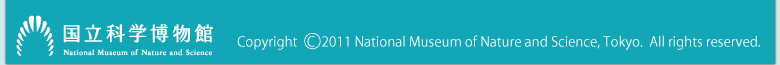 �����Ȋw�����ف@Copyright 2011 National Museum of Nature and Science, Tokyo.  All rights reserved.