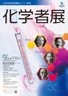 �|�X�^�[�C���[�W