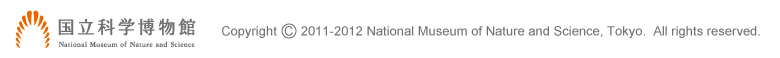 Copyright 2011-2012 National Museum of Nature and Science, Tokyo.  All rights reserved.�@�����Ȋw������