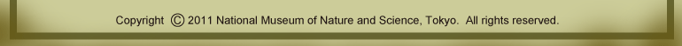 �����Ȋw������ Copyright 2011 National Museum of Nature and Science, Tokyo.  All rights reserved.