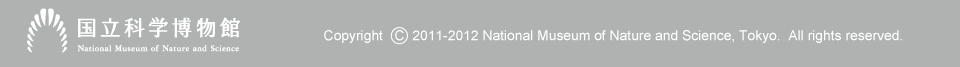 �����Ȋw�����ف@Copyright 2011-2012 National Museum of Nature and  Science, Tokyo, All right reserved.