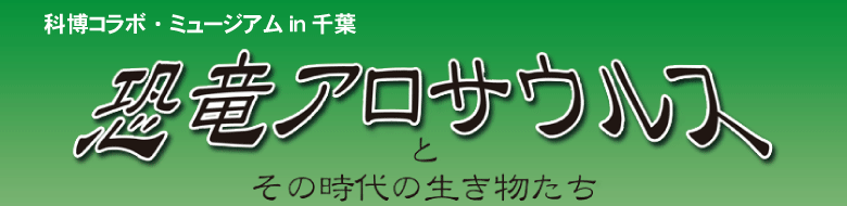 �Ȕ��R���{�E�~���[�W�A��in��t �����A���T�E���X�Ƃ��̎���̐����������@����24�N1��12���ؗj���`4��8�����j���@��t��������������