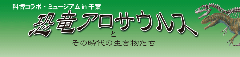 �Ȕ��R���{�E�~���[�W�A��in��t �����A���T�E���X�Ƃ��̎���̐���������