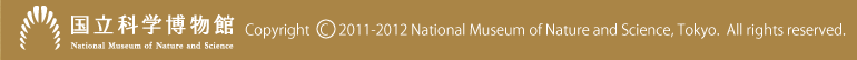 �����Ȋw�����ف@Copyright 2011-2012 National Museum of Nature and Science, Tokyo. All right reserved.