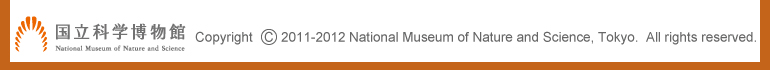 Copyright 2011-2012 National Museum of Nature and Science, Tokyo. All rights reserved.