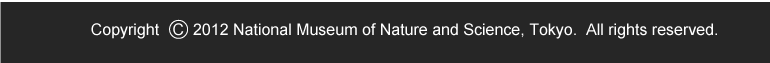 Copyright National Museum of Nature and Science, Tokyo. All rights reserved.