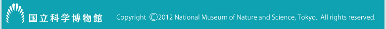 Copyright 2012 National Museum of Nature and Science, Tokyo. All rights reserved.