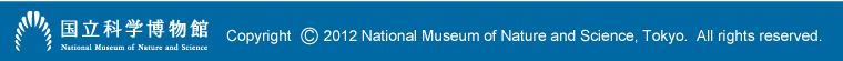 copyright�@2012 National Museum of Nature and Science, Tokyo. All rights reserved.