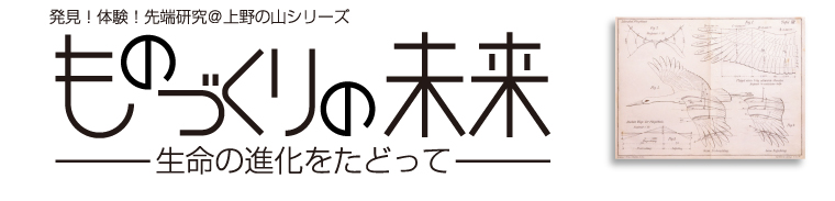 �����I�̌��I��[���������̎R�V���[�Y�@�����̐i�������ǂ���