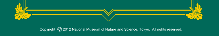 �����Ȋw������ Copyright 2011 National Museum of Nature and Science, Tokyo.  All rights reserved.