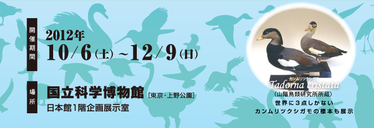 �J�Ê���2012�N10��6���y�j������12��9�����j���@�ꏊ�@�����Ȋw�����ٓ��{�قP�K���W�����@���E�ɂR�_�����Ȃ��J�������c�N�V�K���̕W�{���W��