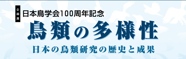 ���W���{���w��100���N�L�O�@���ނ̑��l���@���{�̒��ނ̌����̗��j�Ɛ���