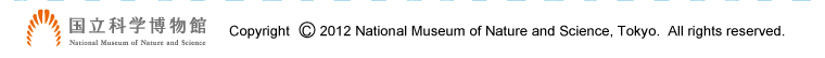 �����Ȋw������ Copyright 2012 National Museum of Nature and Science, Tokyo. All rights reserced.