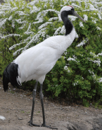 �^���`���E