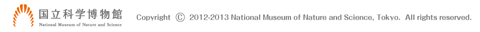 �����Ȋw�����ف@Copyright 2012-2013 National Museum of Nature and Science, Tokyo. All right reserved. 