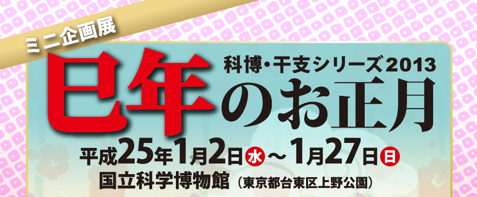 �~�j���W�@�Ȕ��E���x�V���[�Y2013 ���N�̂����� ����25�N1��2�����j������1��27�����j���@�����Ȋw�����ف@�����s�䓌�������