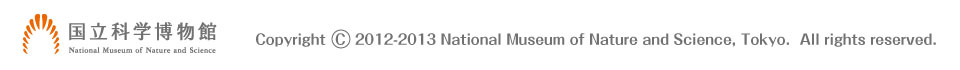 Copyright 2012-2013 National Museum of Nature and Science, Tokyo.  All rights reserved.�@�����Ȋw������