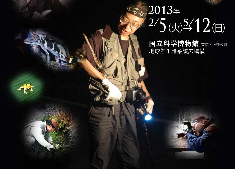 2013�N2��5���i�΁j�`5��12���i���j�����Ȋw�����ف@�����E�������@�n���قP�K�n���L��