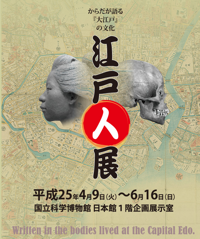 ���W�@���炾�����u��]�ˁv�̕����@�]�ːl�W 2013�N4��9���Ηj������2013�N6��16�����j���@�����Ȋw�����ٓ��{�قP�K���W����