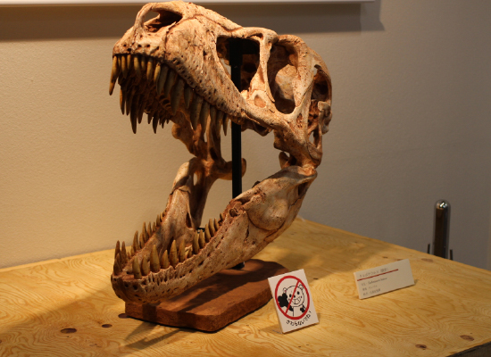 展示実施の様子