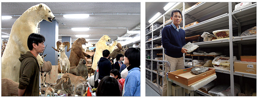 自然史標本棟 特別見学