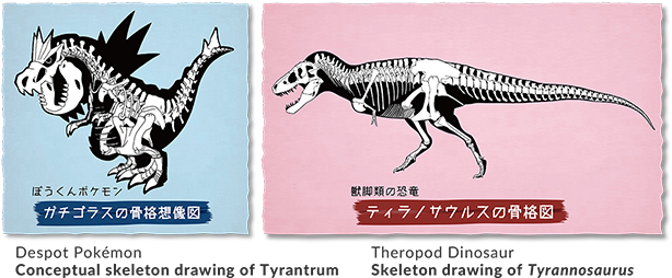 Despot Pokemon Conceptual skeleton drawing of Tyrantrum and Theropad Dinosaur Skeleton drawing of Tyrannosaurus