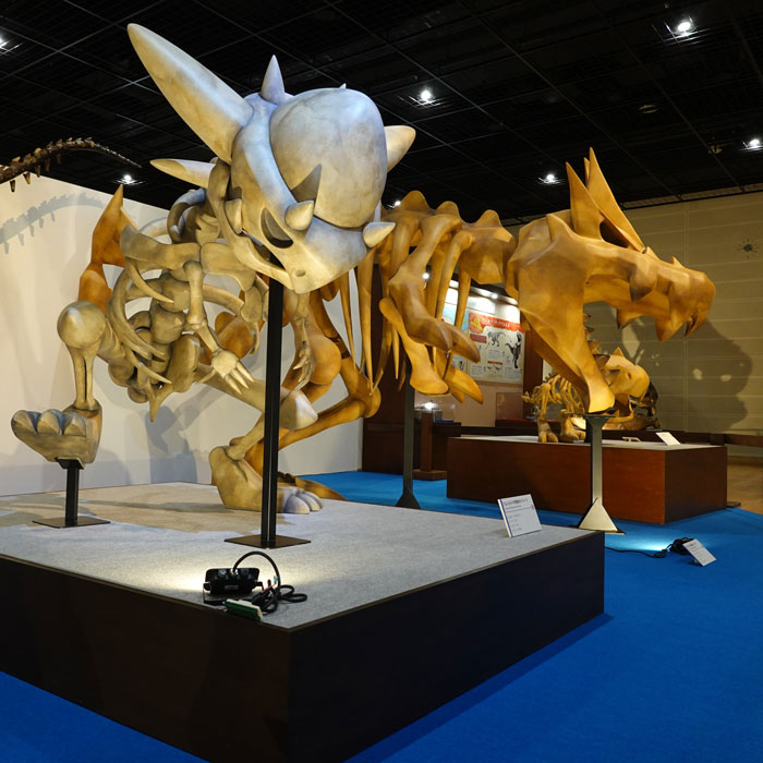 Hofu Science Museum “fukui”
