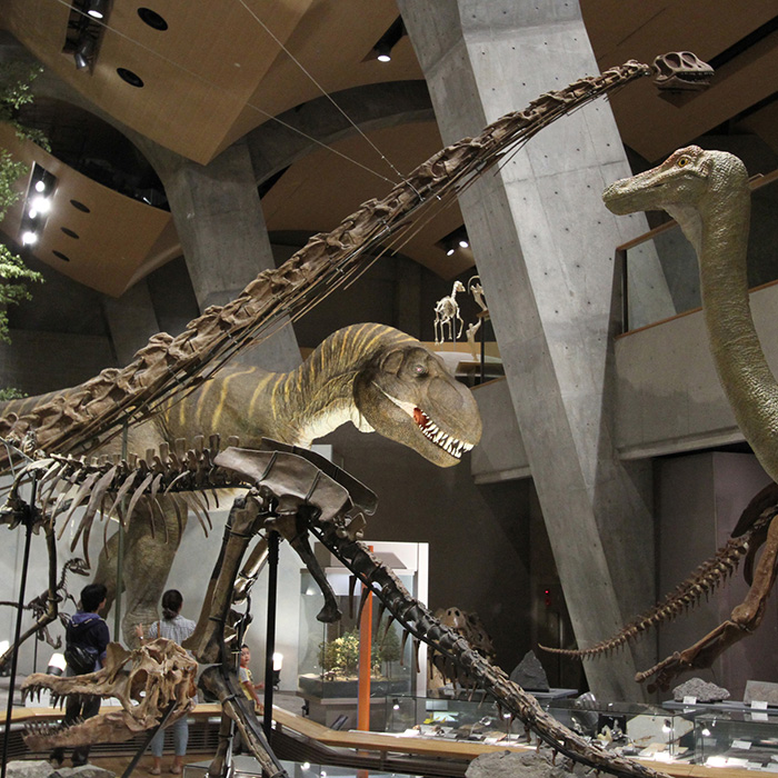 GUNMA MUSEUM OF NATURAL HISTORY