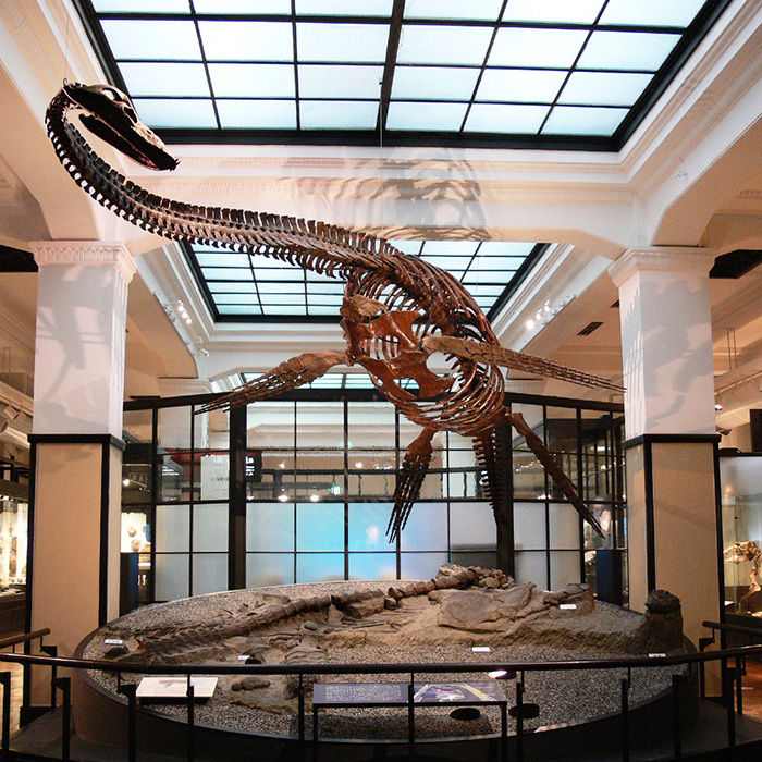 National Museum of Nature and Science