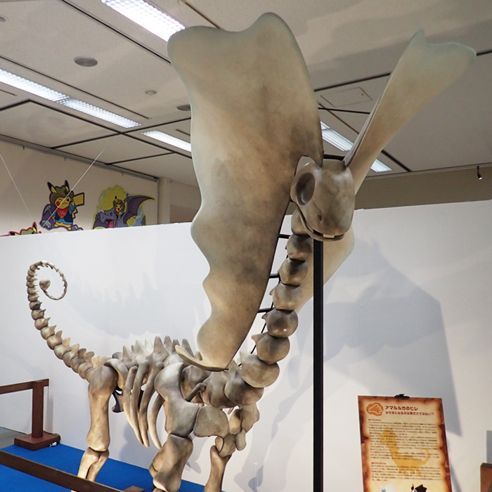 Tokushima Prefectural Museum (TOKUSHIMA)