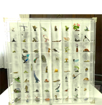 生物多様性フィギュア　イメージ