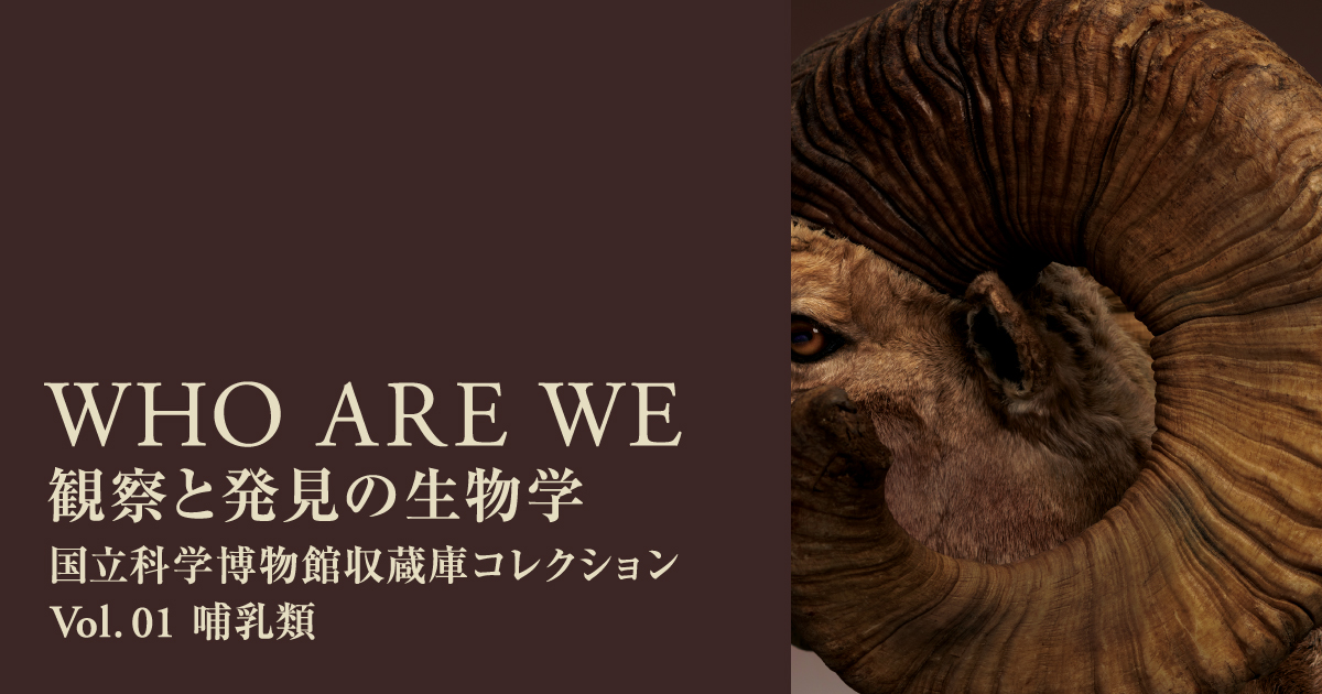 金沢21世紀美術館】「WHO ARE WE 観察と発見の生物学」国立科学