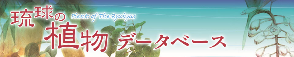 琉球の植物データベース
