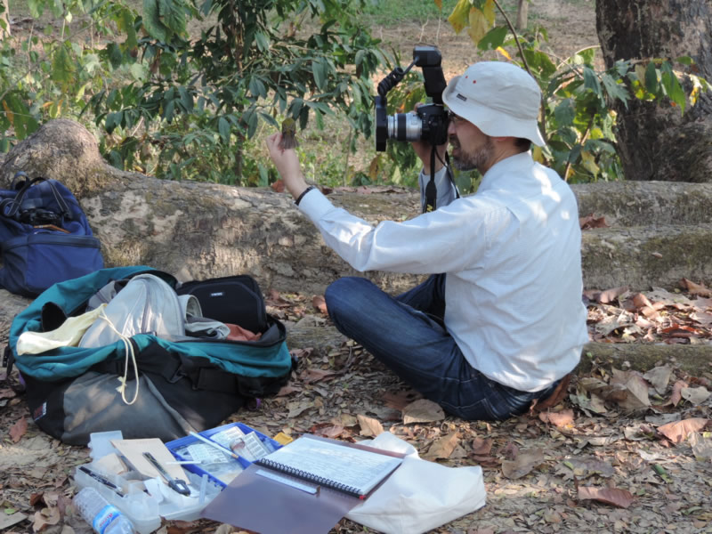 Taking photos and measurements of a caught bird