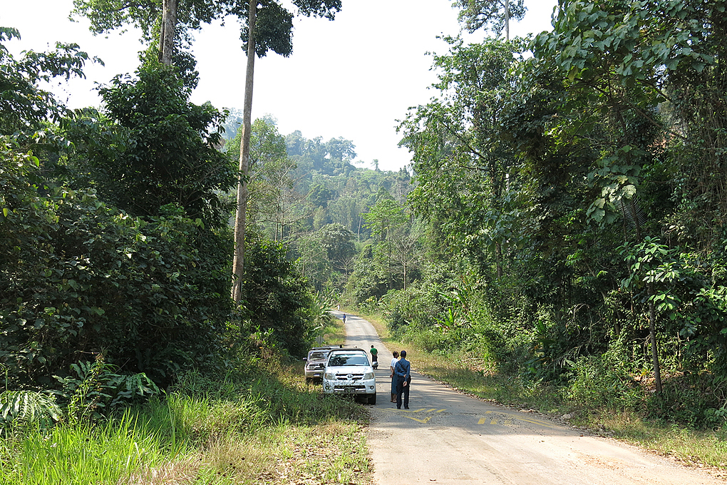 Snap of survey in Tanintharyi Nature Reserve (TNR).