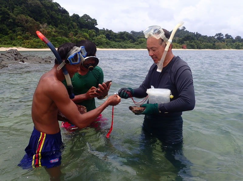 snorkeling