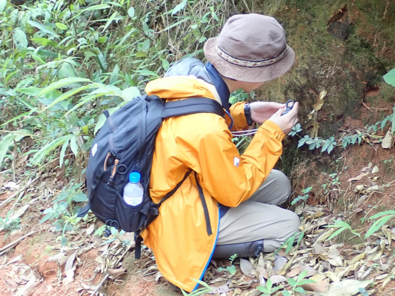 Dr. Yuya Inoue (Bryophytes)