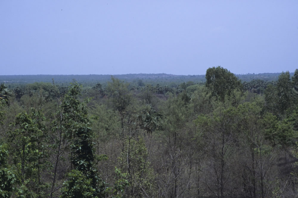 Dry zone in Magway Region
