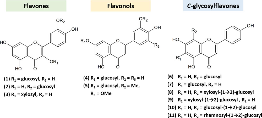 Chemical structures of the flavonoids from the leaves of Amherstia nobilis