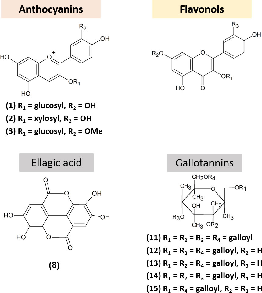 Chemical structures of the phenolic compounds isolated from Sapria himalayana f. albovinosa and S. myanmarensis.